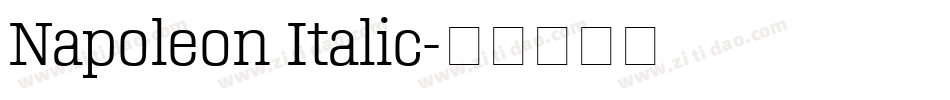 Napoleon Italic字体转换